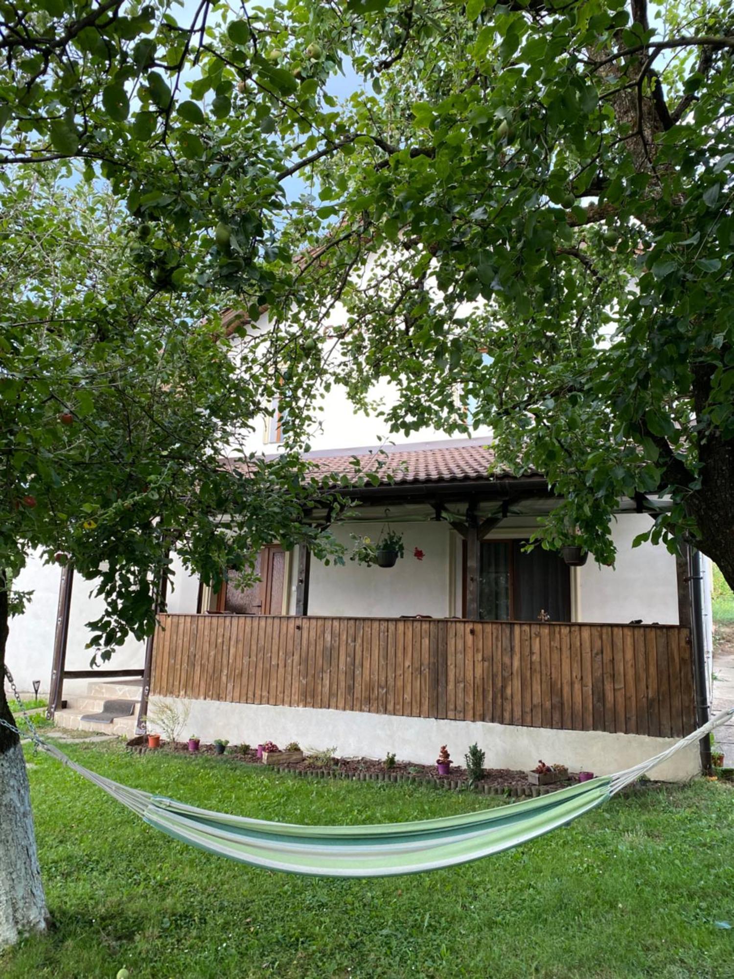 Casa Faget Hotel Cluj-Napoca Exterior foto
